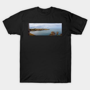 Panorama of the surroundings of Dunnottar castle in Aberdeenshire, Scotland T-Shirt